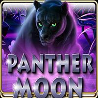 Panther Moon